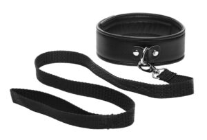 Ag410 Collar 001